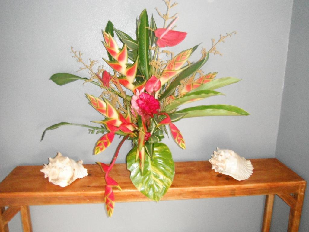 Classique International In Dominica Marigot Habitación foto